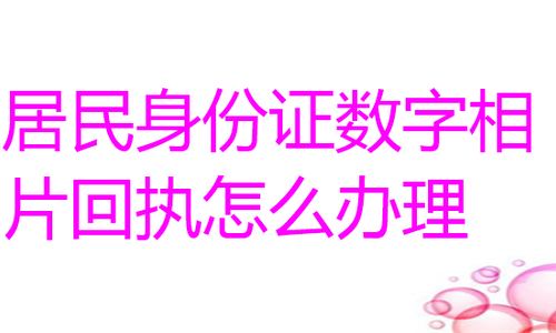 居民身份证数字相片回执怎么办理？