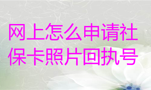 网上怎么申请社保卡照片回执号？