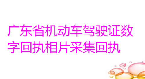 广东省机动车驾驶证数字回执相片采集回执