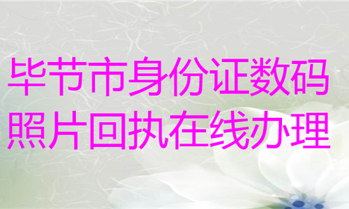 毕节市身份证数码照片回执在线办理