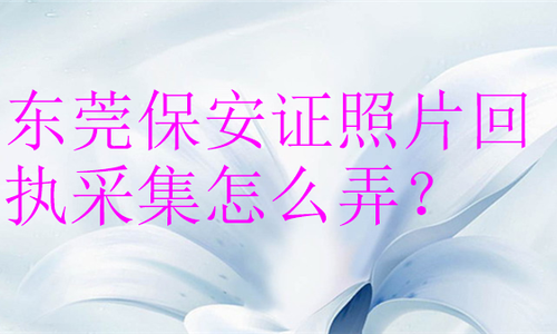 东莞保安证照片回执采集怎么弄？