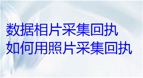 数码相片采集回执如何用照片采集回执