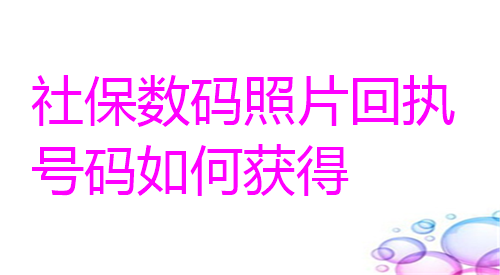 社保数码照片或者号码如何获得