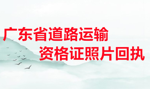 广东省道路运输资格证照片回执办理