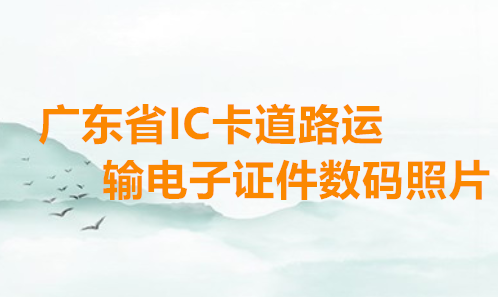 广东省IC卡道路运输电子证件数码照片办理